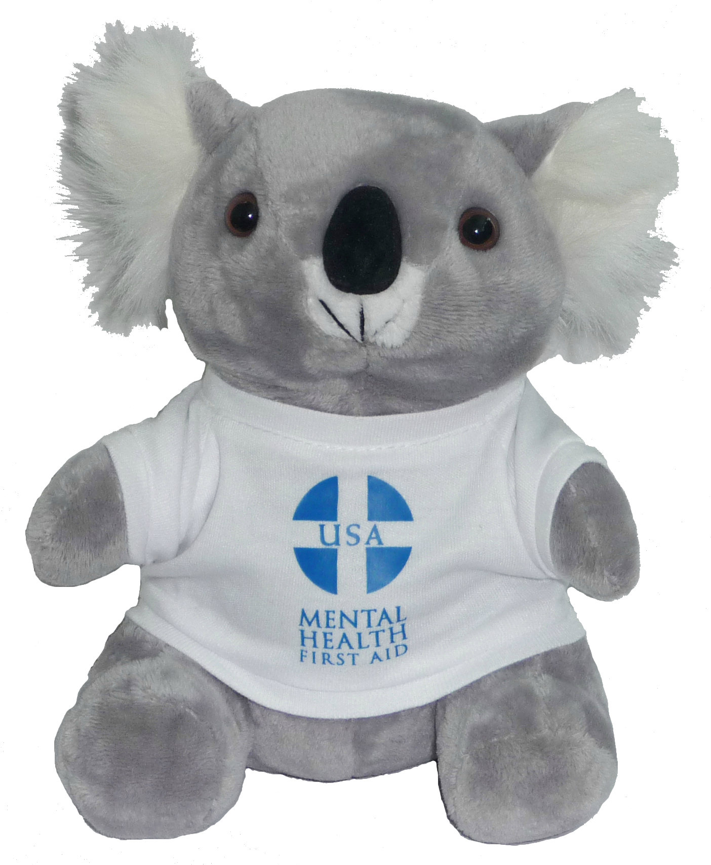 Algee Mental Health First Aid | Compass Health